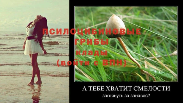 не бодяженный Балахна