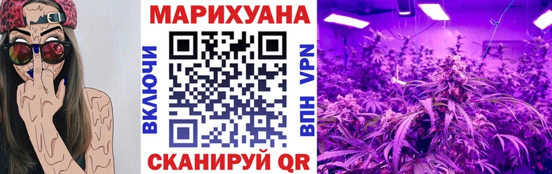 Марихуана сатива  Горнозаводск 